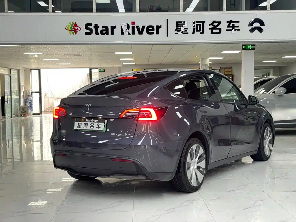 Tesla Model Y — миниатюра 5