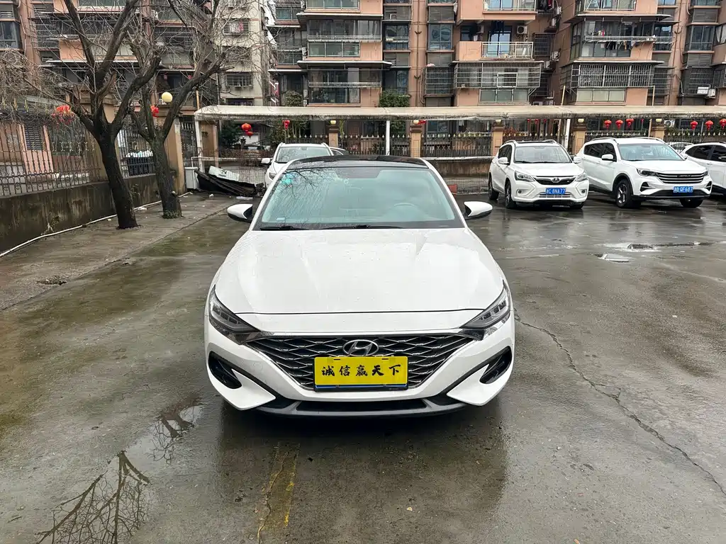 Hyundai Fista — миниатюра 2