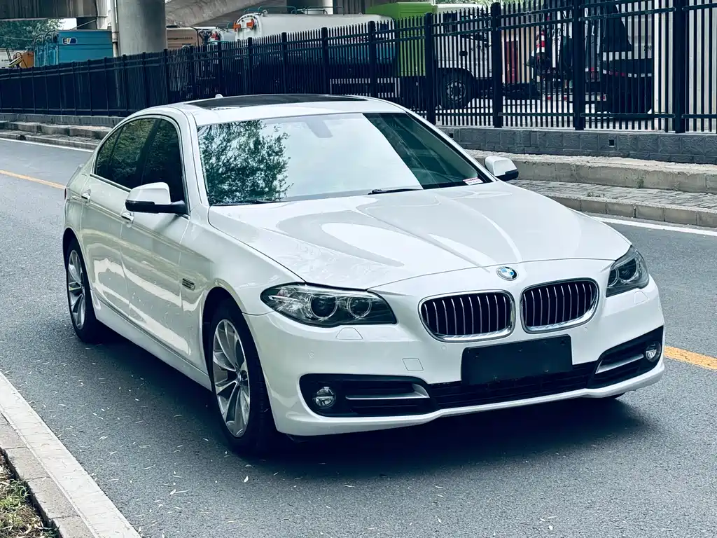 BMW 5 Series 5 2017 525Li Lead