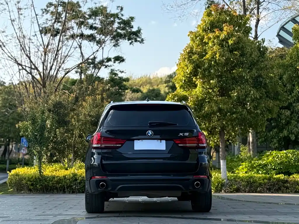BMW X5 2014 xDrive35i Lead