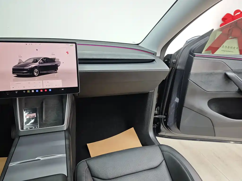 Tesla Model Y — миниатюра 41