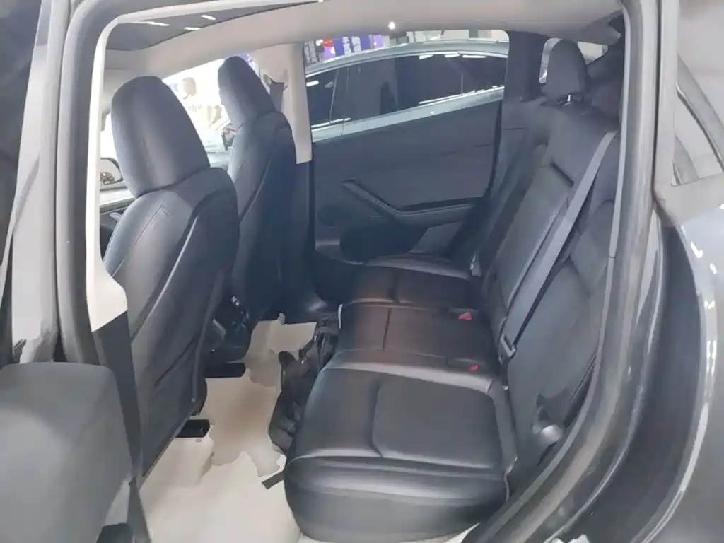 Tesla Model Y — миниатюра 17