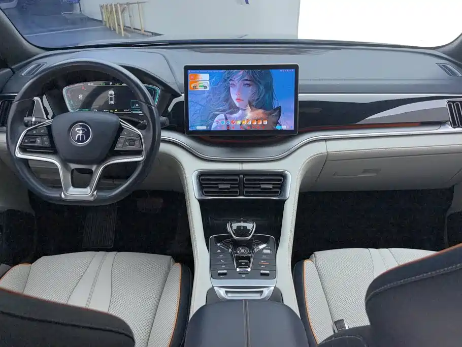 BYD PLUS New Energy — миниатюра 12