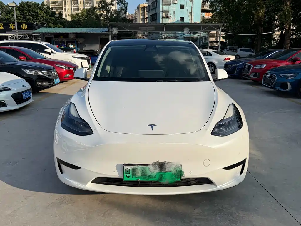 Tesla Model Y — миниатюра 2