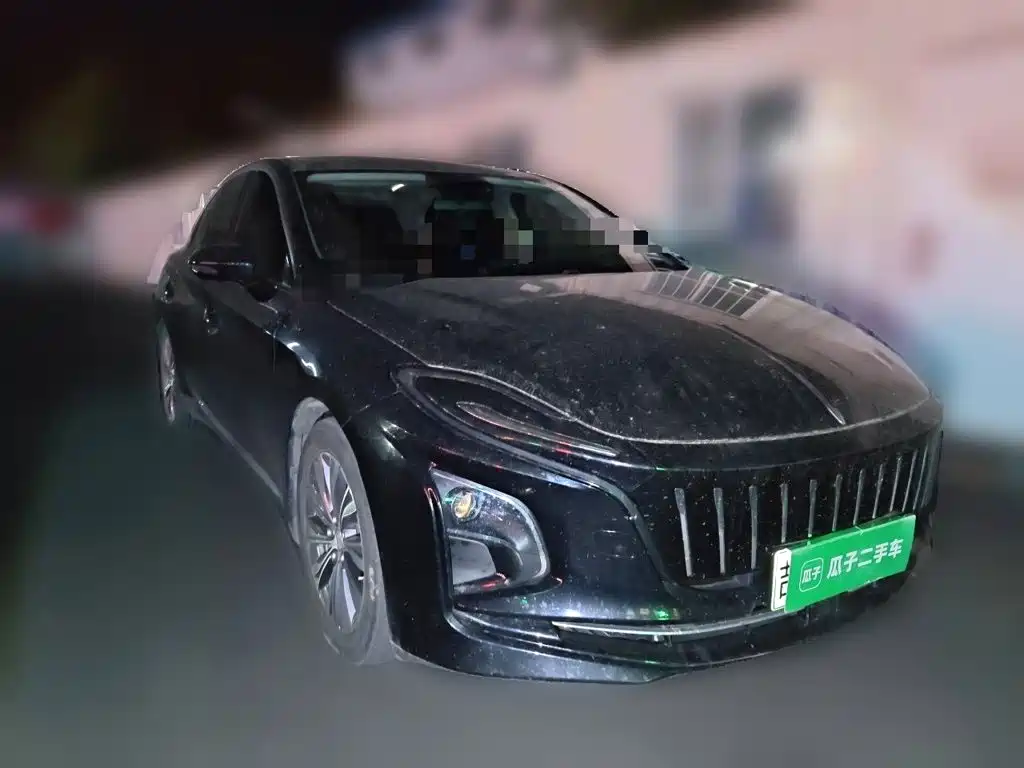 Hongqi Hongqi E-QM5 — миниатюра 3