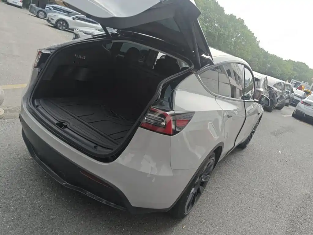 Tesla Model Y — миниатюра 3