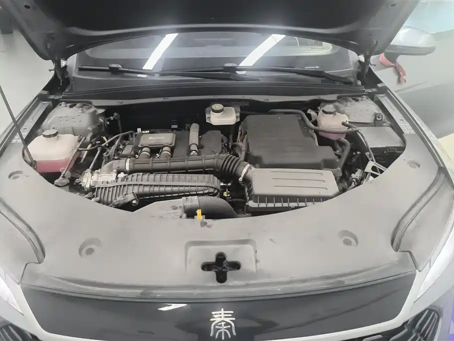 BYD Qin Plus PLUS 2025 DM-i Smart Drive 55KM Lead