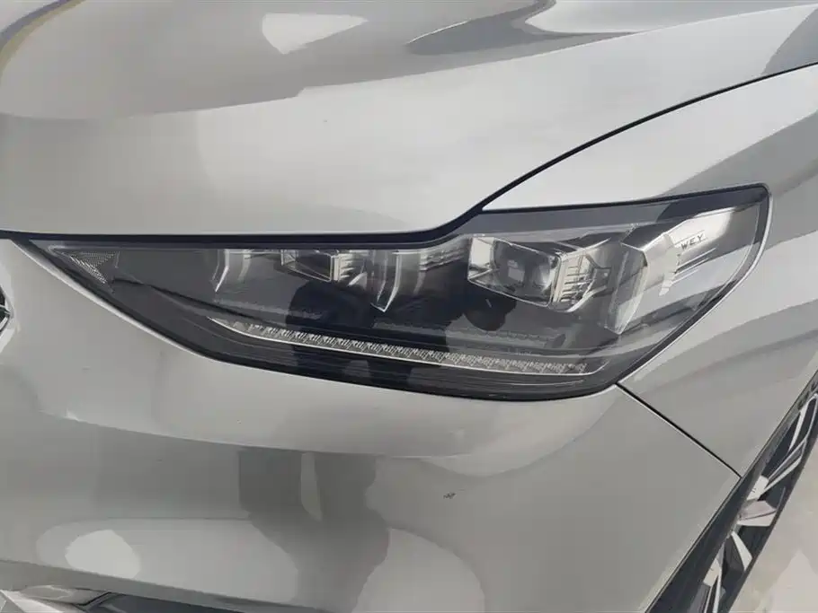 Wey VV6 2021 2.0T +