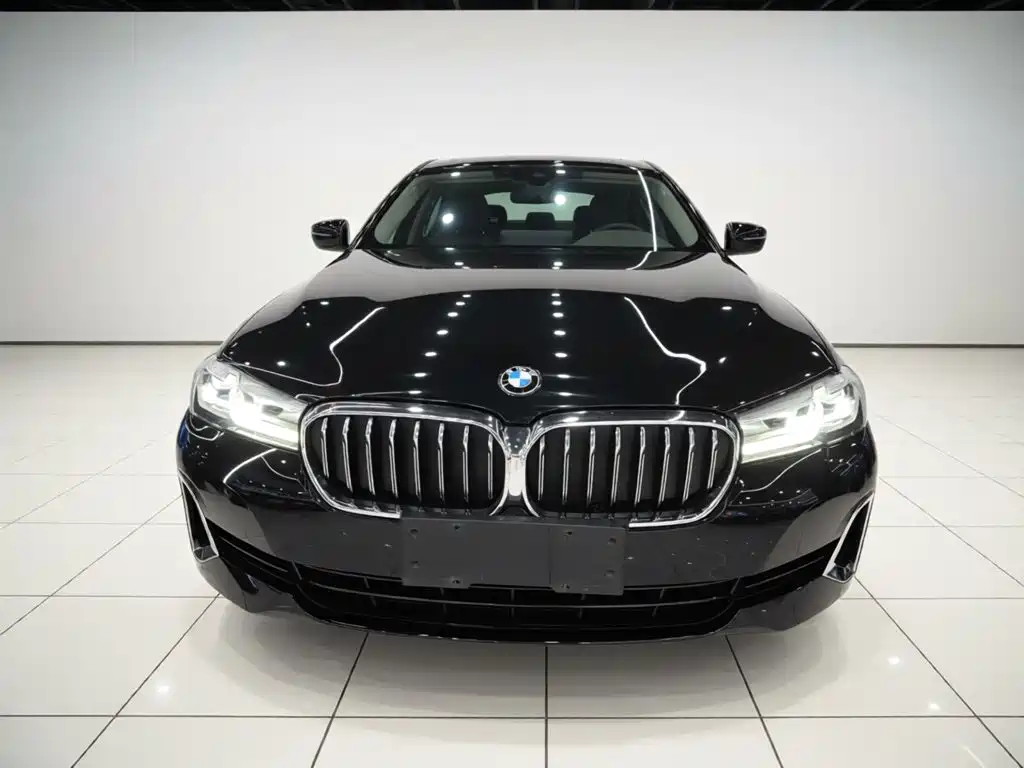 BMW 5 Series — миниатюра 3
