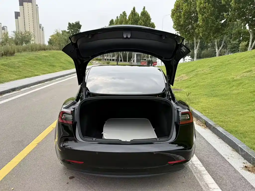 Tesla Model 3 — миниатюра 19