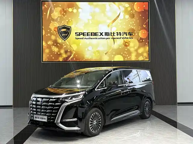 2025 Denza D9