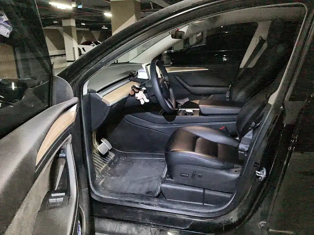 Tesla Model Y — миниатюра 13