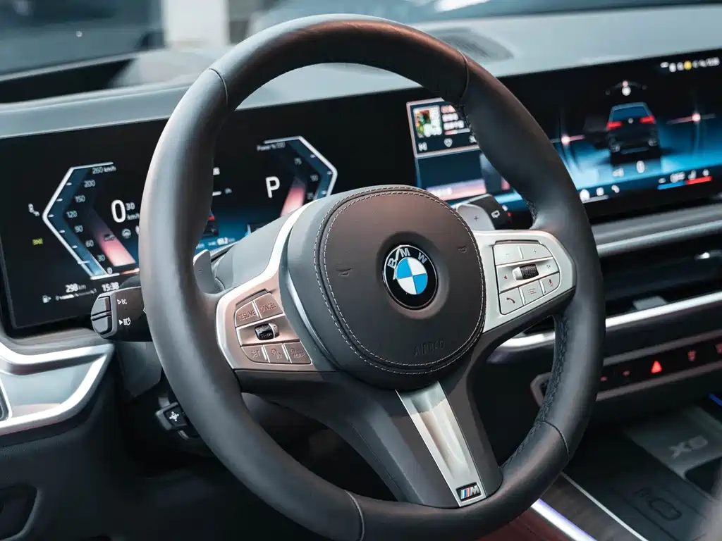 BMW X5 — миниатюра 16