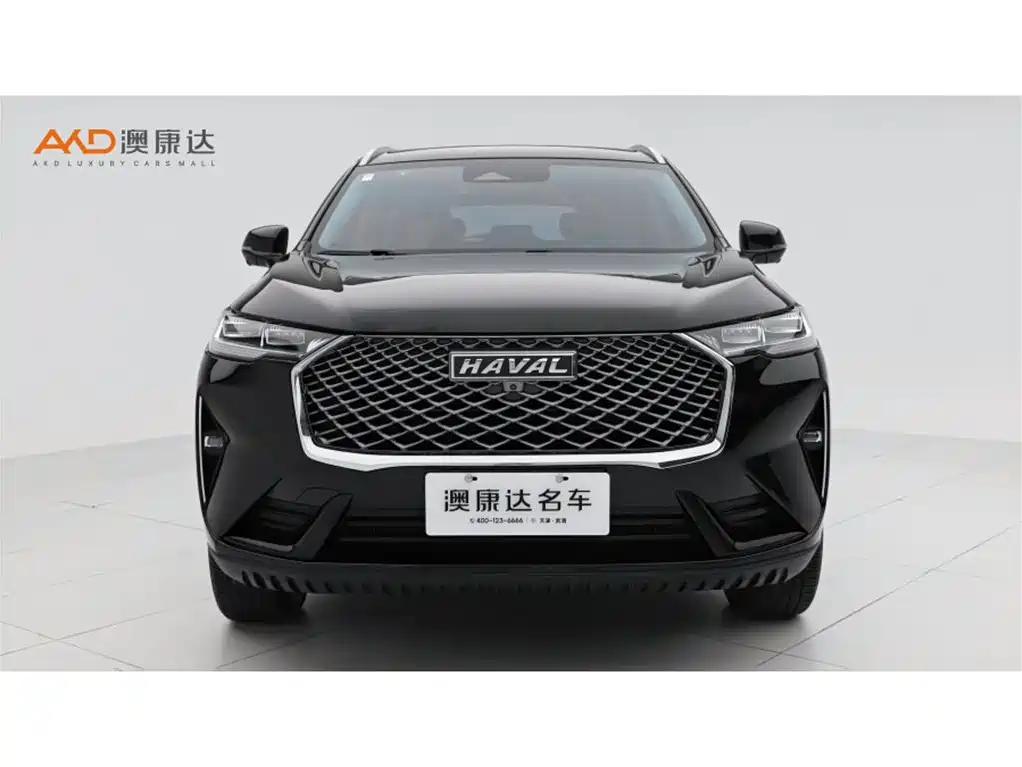 Haval H6 — миниатюра 2