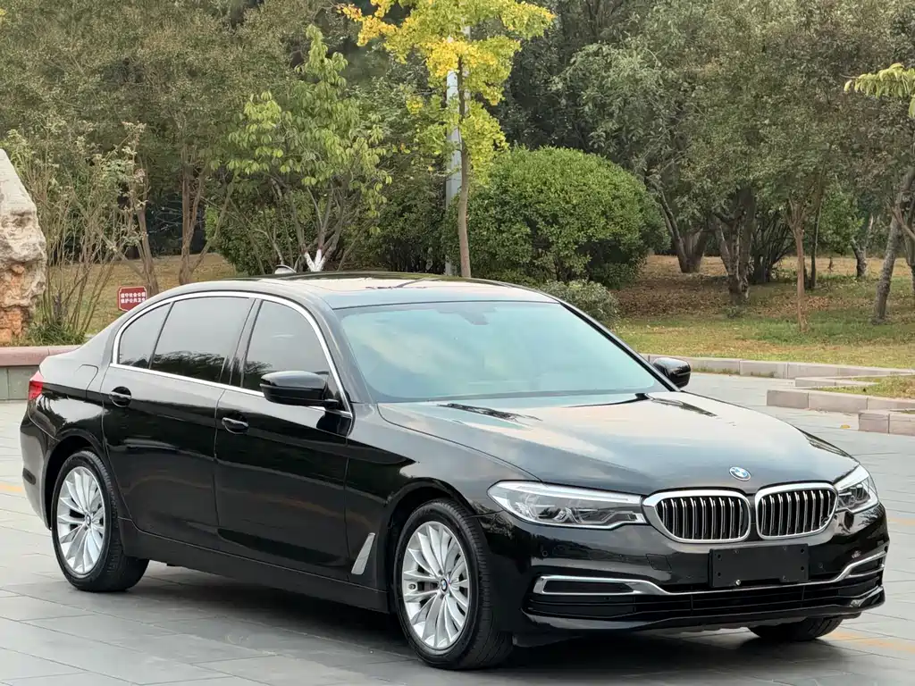 BMW 5 Series — миниатюра 3