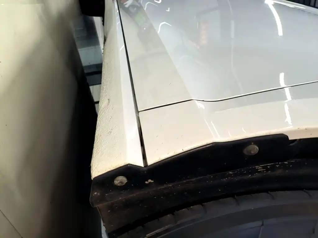 Volkswagen Lamando — миниатюра 21