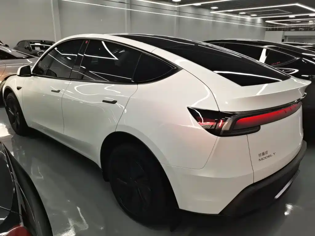 Tesla Model Y — миниатюра 5