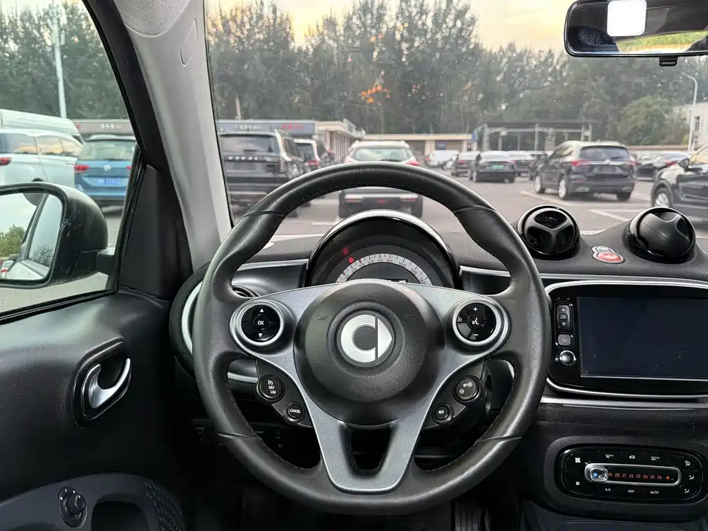 smart Smart Fortwo — миниатюра 14