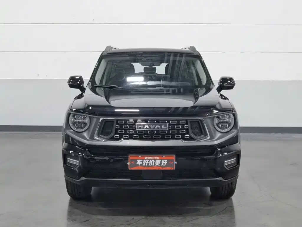 Haval Big Dog PLUS — миниатюра 3