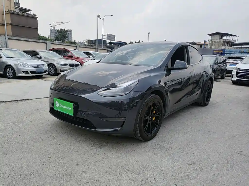 Tesla Model Y — миниатюра 2
