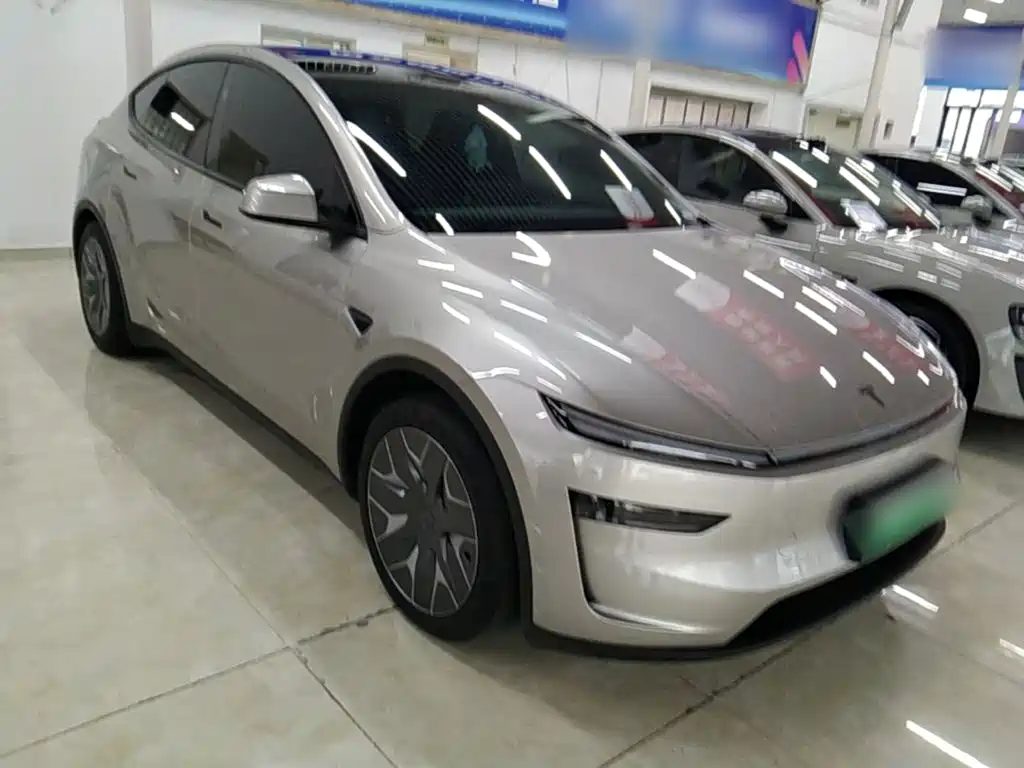 Tesla Model Y L — миниатюра 4