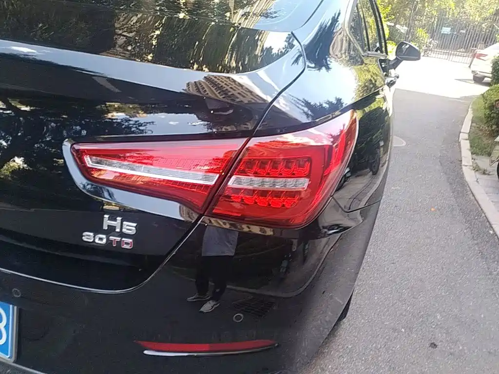 Hongqi Hongqi H5 — миниатюра 8