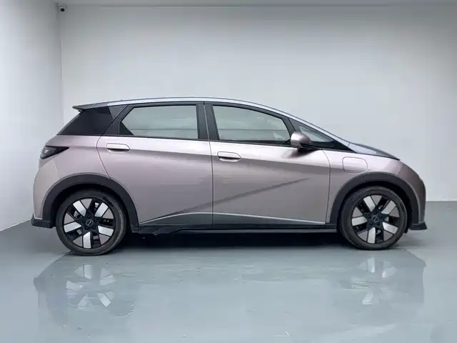 BYD Dolphin — миниатюра 8