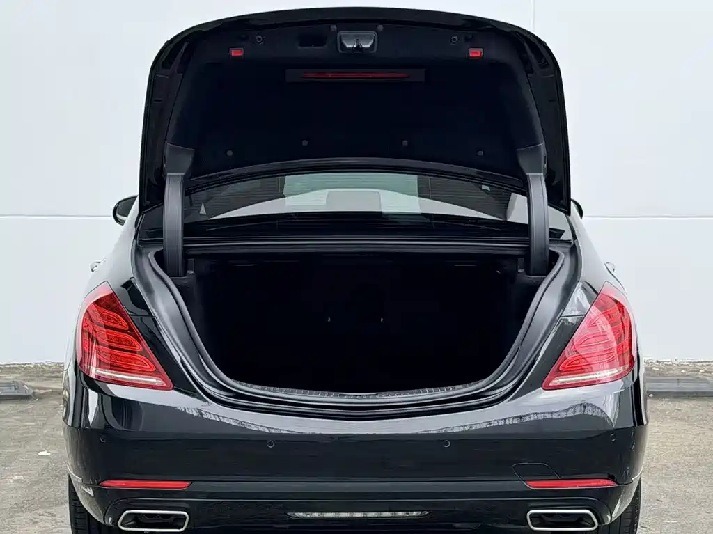 Mercedes-Benz S-Class S 320 L Luxury Type, фото 16