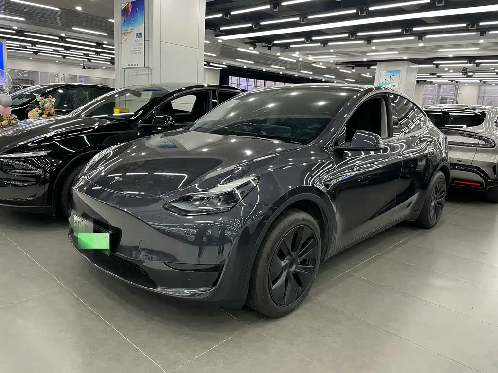 Tesla Model Y — миниатюра 2