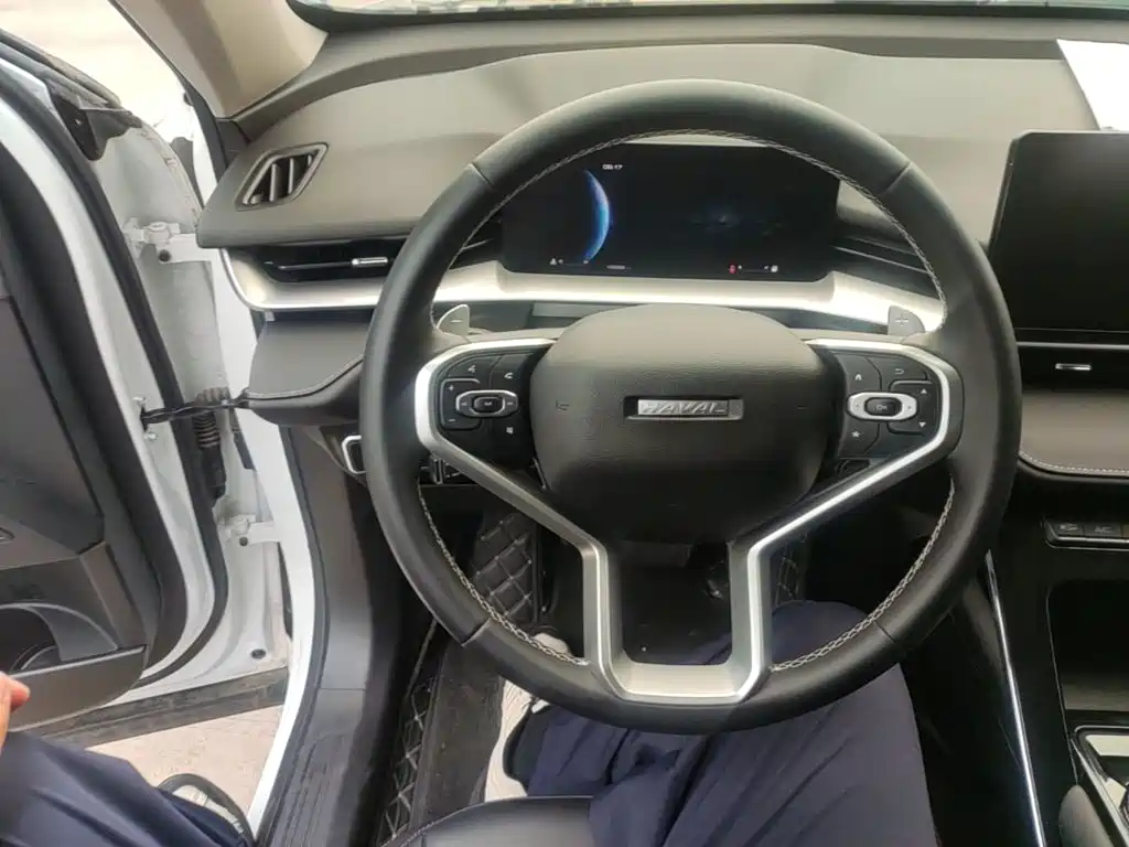 Haval H6 — миниатюра 11
