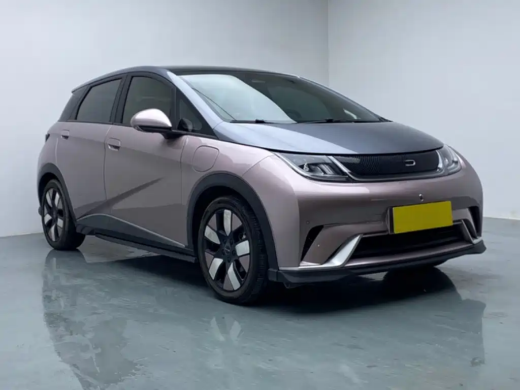 BYD Dolphin — миниатюра 3