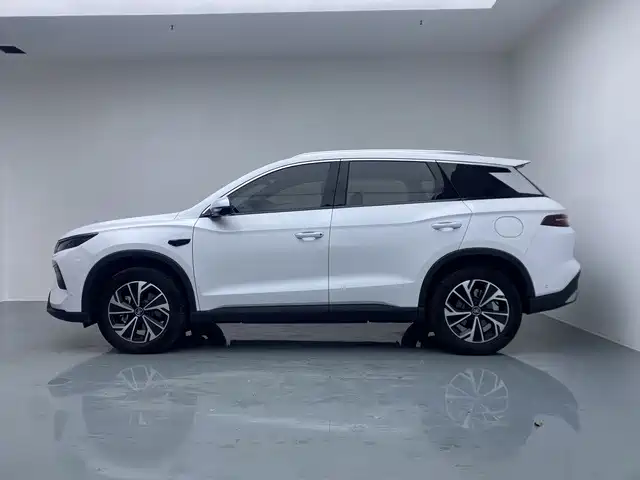 BYD Pro New Energy — миниатюра 7