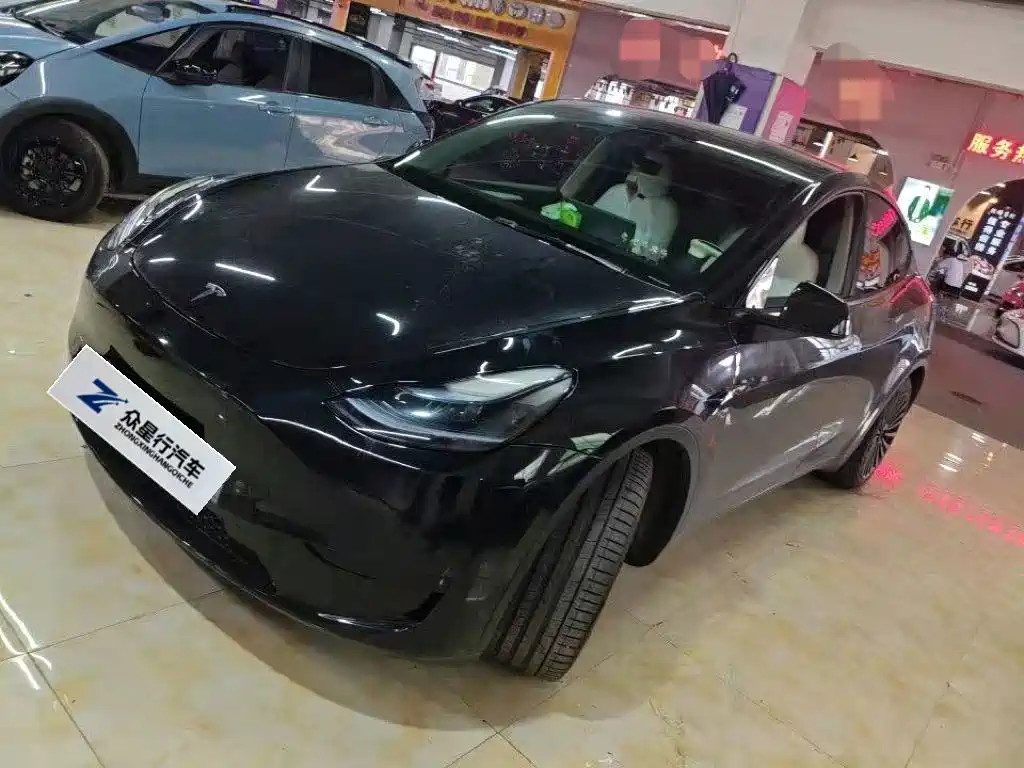 Tesla Model Y — миниатюра 3