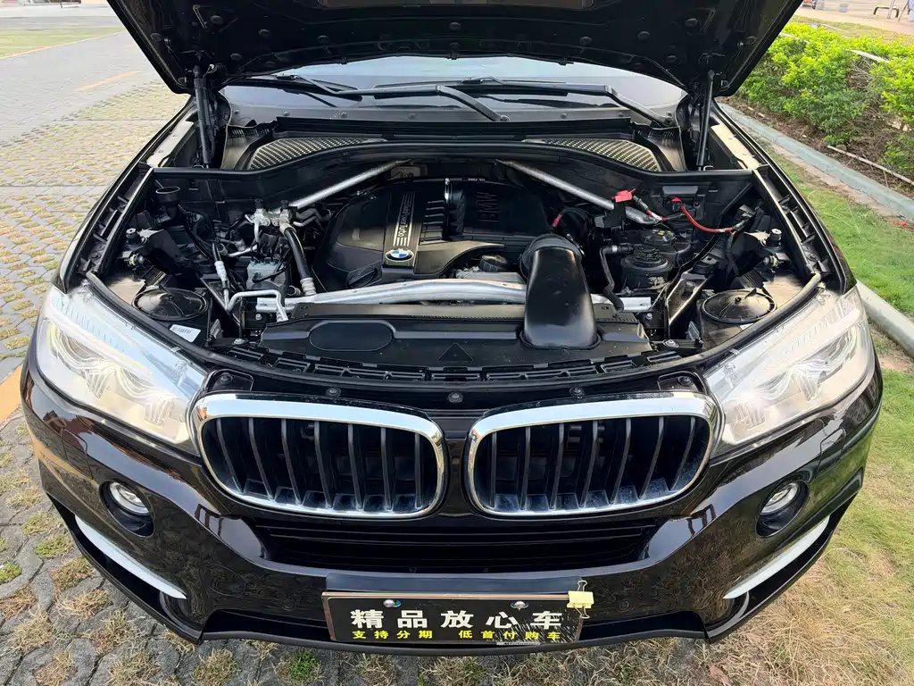 BMW X5 (Import) — миниатюра 10