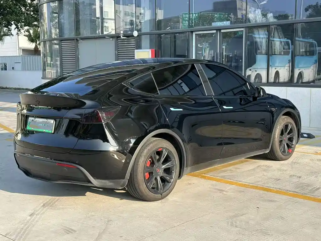 Tesla Model Y — миниатюра 4