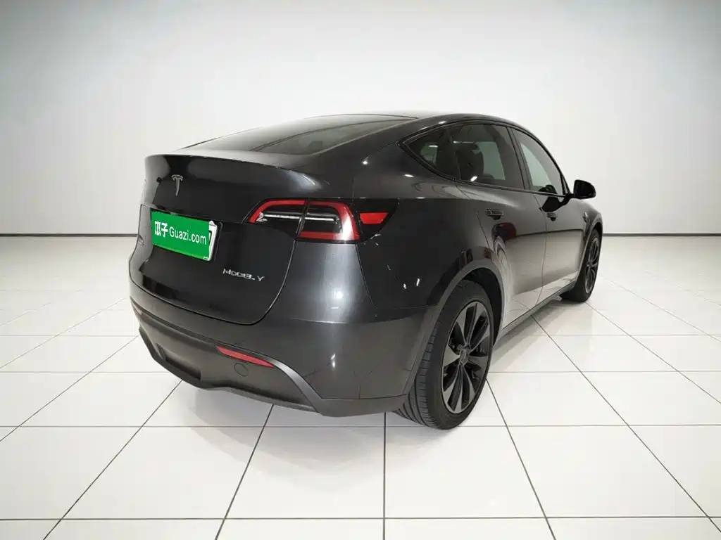 Tesla Model Y — миниатюра 4