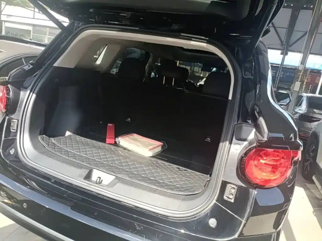 Haval Big Dog PLUS — миниатюра 19