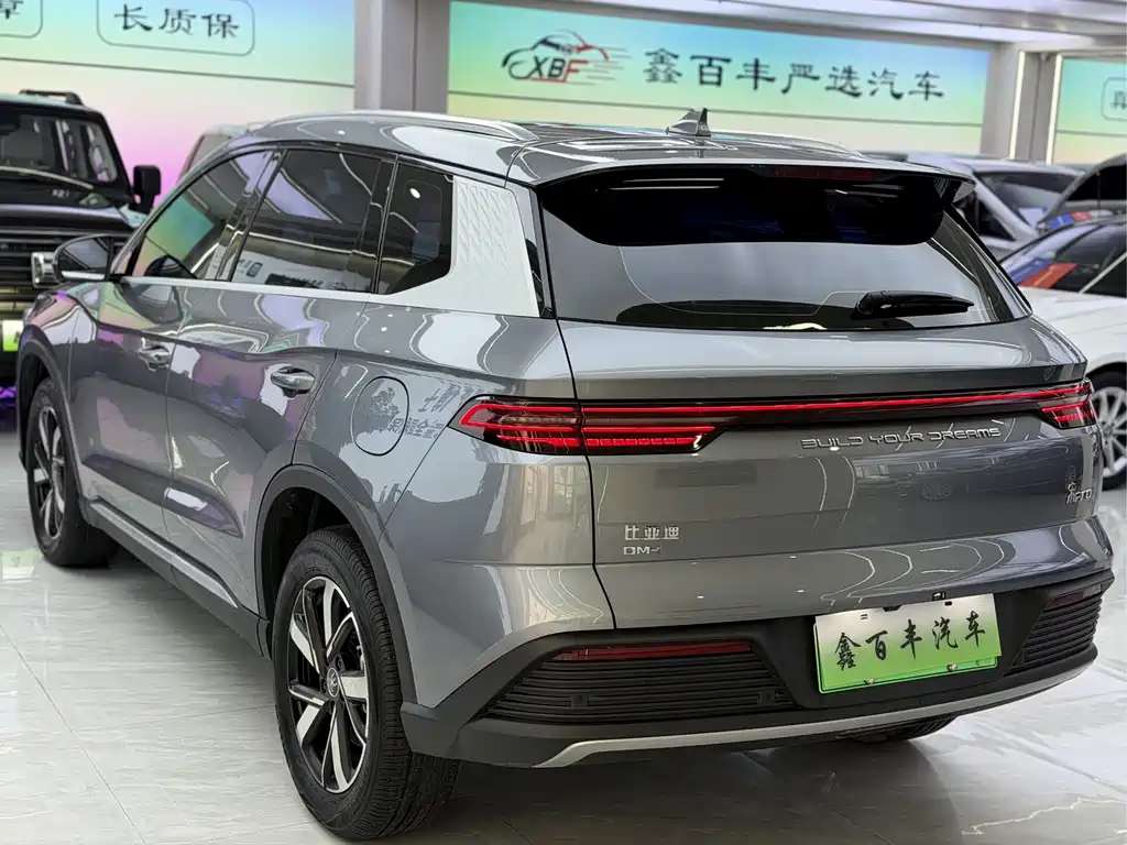 BYD Pro New Energy — миниатюра 10