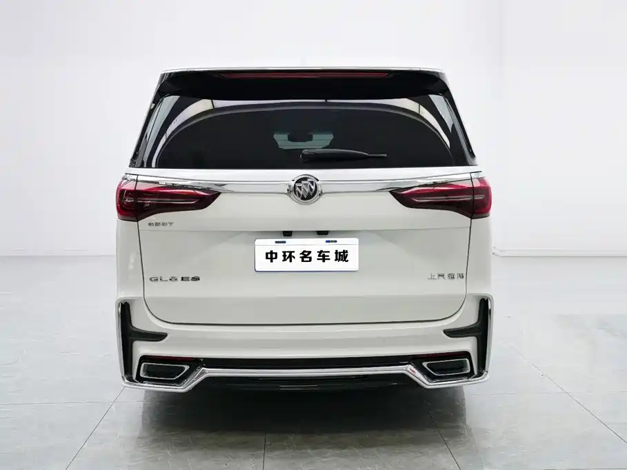 Buick GL8 — миниатюра 16