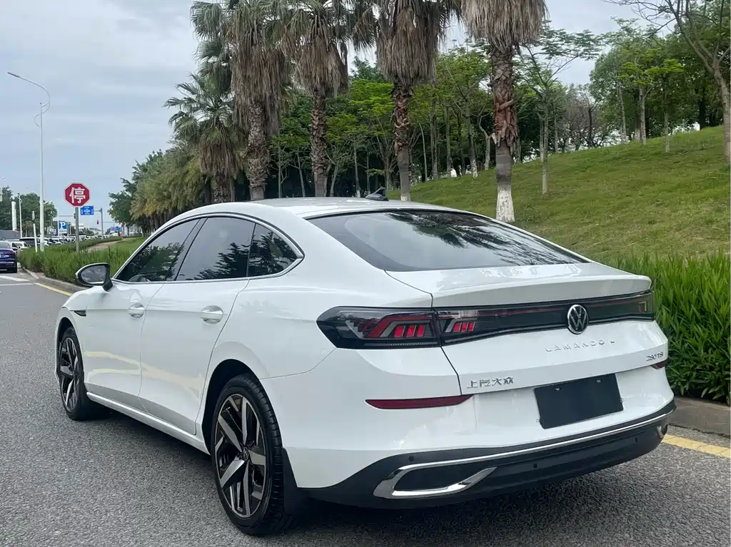 Volkswagen Lamando — миниатюра 5