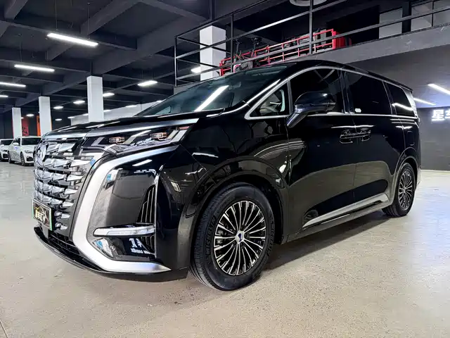 2023 Denza D9