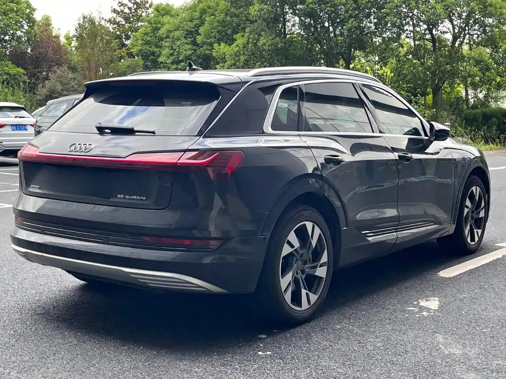 Audi e-tron (Import) — миниатюра 5