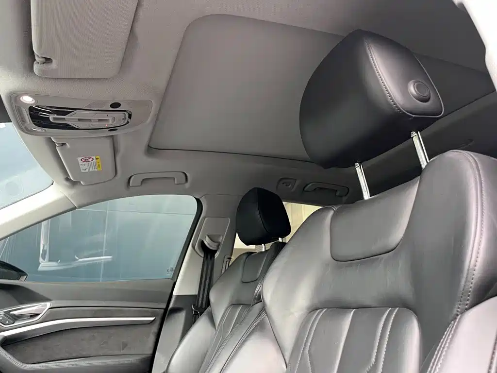 Audi e-tron (Import) — миниатюра 10
