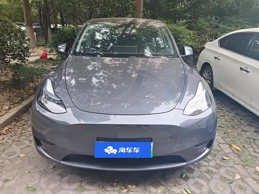 Tesla Model Y — миниатюра 2