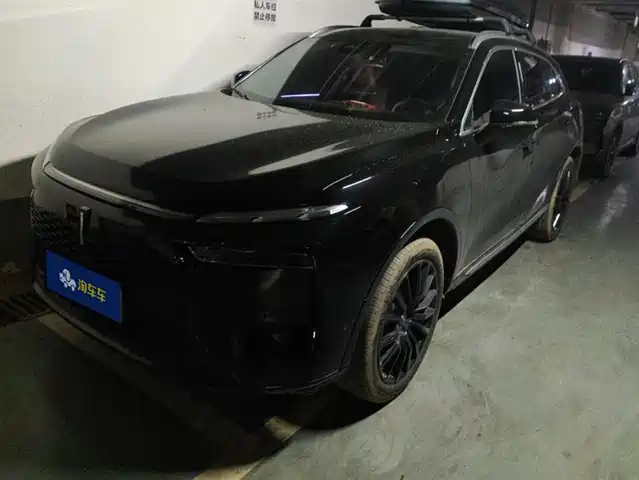 WEI PAI WEI BRAND MOCHA NEW ENERGY 2025