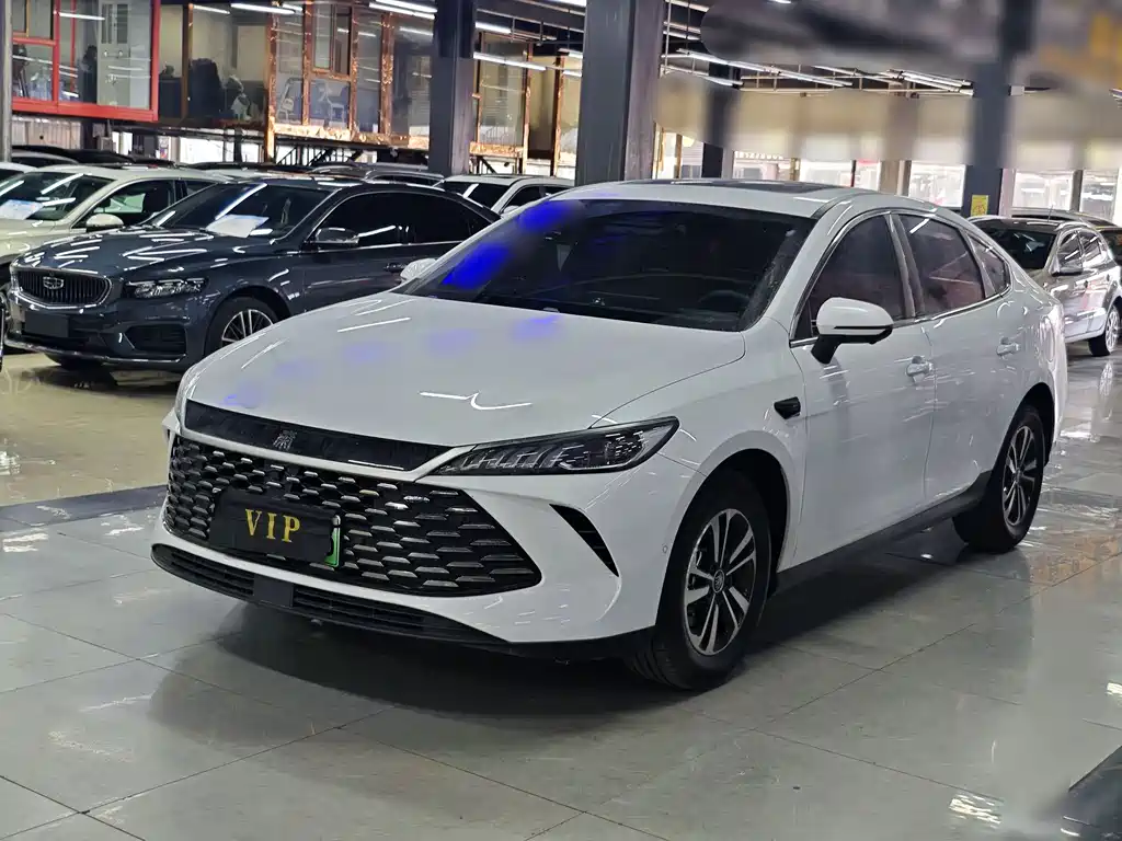 Byd Qin PLUS 2025