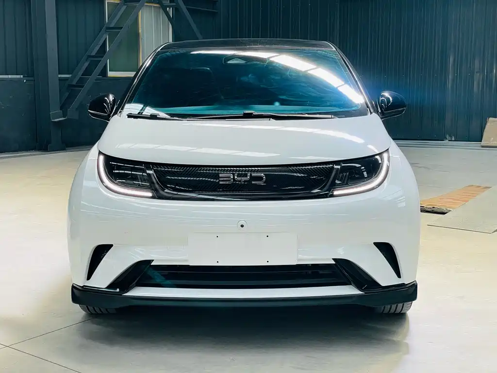 BYD Dolphin — миниатюра 2