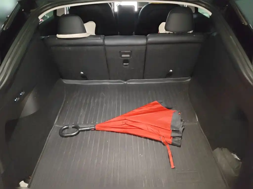 Tesla Model Y — миниатюра 16