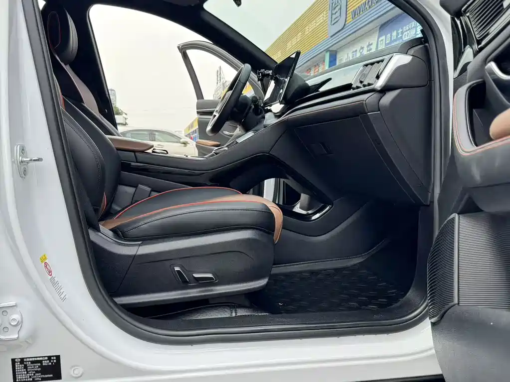 BYD PLUS — миниатюра 12