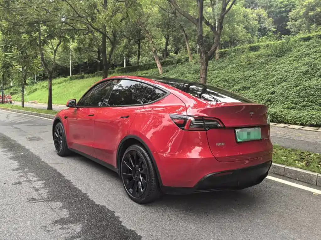 Tesla Model Y — миниатюра 4